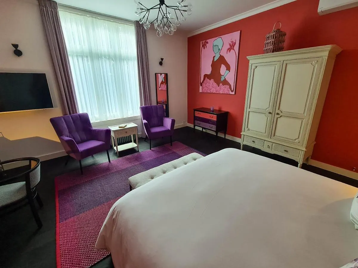 Bed & Breakfast Bed and Breakfast The Old Beech Antverpy